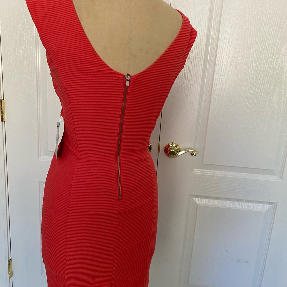 Express Dress - Picture 5 of 7